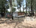 Joburg-0066