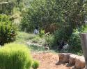 Joburg-1007