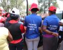 Joburg-0076