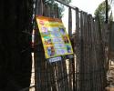 Joburg-0192