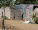 Joburg-1361