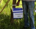 Mbeya-9744