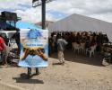 Mbeya-7424
