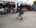 Mbeya-8329