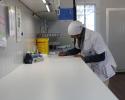 Lab