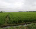 MNL-140591