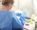 BL3 Lab