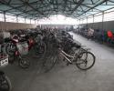 China-1029