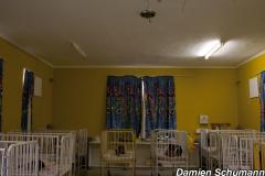 _H1J8831 copy